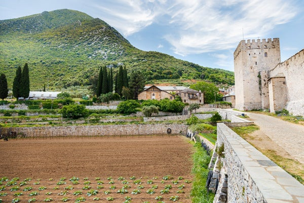 Η σπουδαιότητα της αγιορείτικης κουζίνας